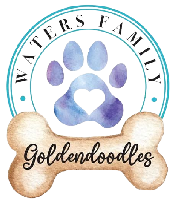 Waters Family Goldendoodles