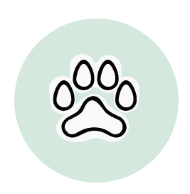 button (2)